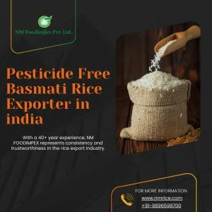 Pesticide free basmati rice exporter in india