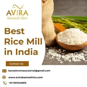 Best rice mill in india