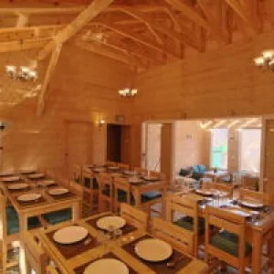 Best food in auli