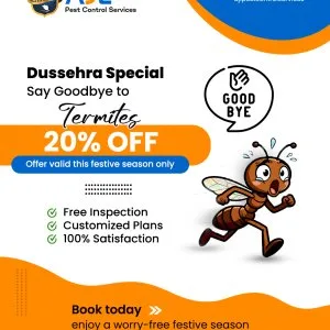20% off on termite control | ajl pest control services