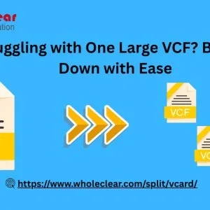 Struggling with one large vcf? break it down with ease