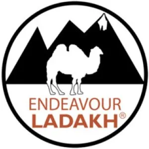 Endeavour ladakh