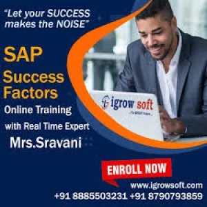 Sap success factors online training institute hyderabad | igrows