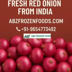 Trusted exporter of fresh red onion from india