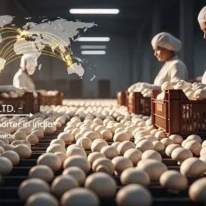 High-quality mushroom export from india