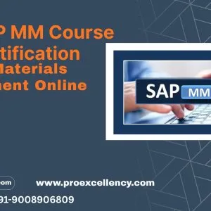 Sap mm course with certification