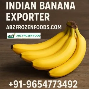 Cultivating quality, connecting continents – top indian banana