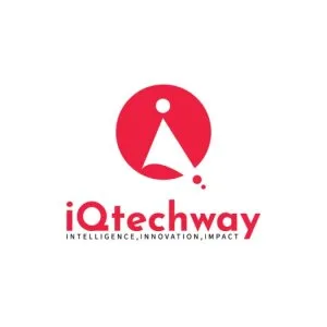 Iq techway smm – expert social media & digital marketing solutio