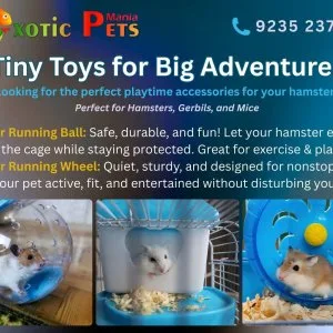 Pets