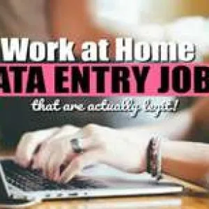Home based data entry genuine project work with your flexible ti