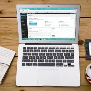 Professional wordpress web development services