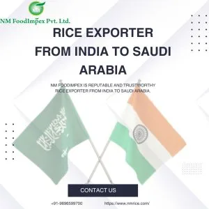 Rice exporter from india to saudi arabia