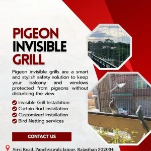 Invisible pigeon grill – modern safety for your home