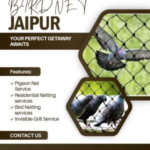 Best pigeon net service providers in jaipur