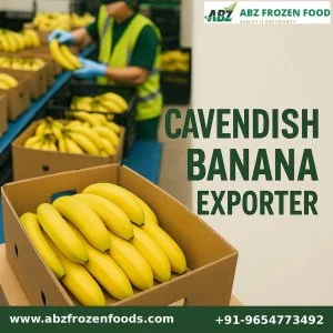 Green gold of india – trusted name in cavendish banana exporter