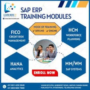Sap institute in ameerpet