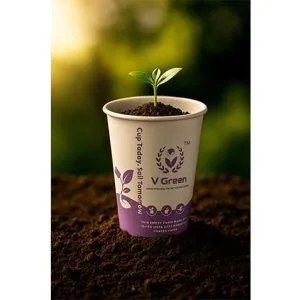 Eco-friendly flat paper cups – perfect for cafes & events in tam