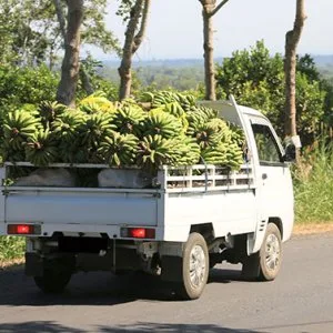 Easy loan on used commercial vehicle | iffco kisan finance