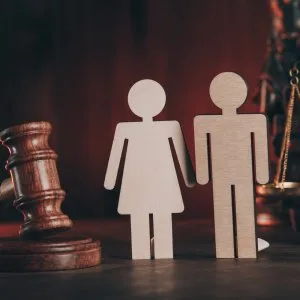 Domestic violence case advocate in delhi