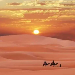 Chasing the sunset – an arabian safari beyond imagination