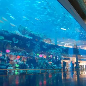 Uncover atlantis – dive into the lost chambers aquarium