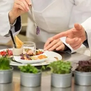 Professional restaurant & food consultancy services for startups