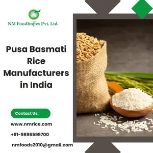 Pusa basmati rice manufacturers in india