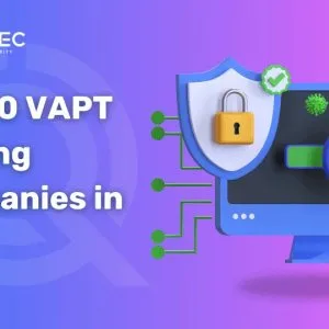 Top 20 vapt testing companies in india