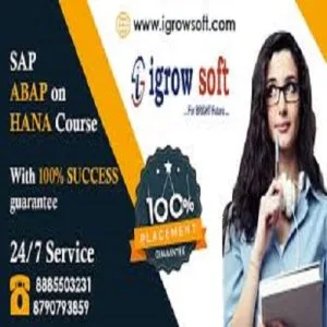 Sap abap on hana| sap s4 hana online training in ameerpet | igro