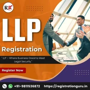 Limited liability partnership registration services