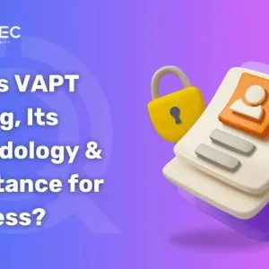 What is vapt (vulnerability assessment and penetration testing)?
