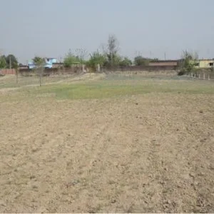 Affordable plot for sale in alappuzha – ready for development