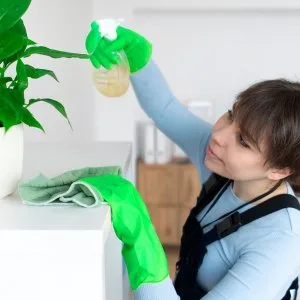 Best organic cleaning products for commercial spaces