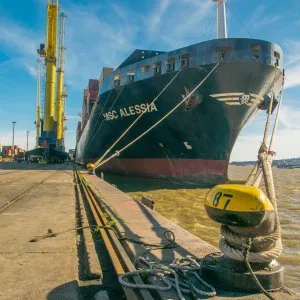 🚛 transportation services for container port from delhi – arc w