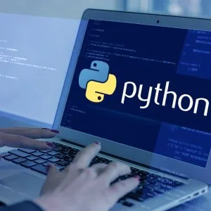 Hire python developers