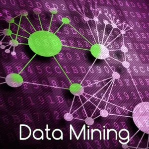 Data mining services