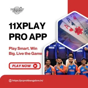 11xplay pro app