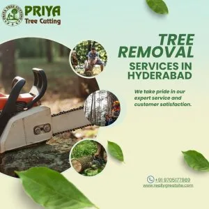 Tree removal services in hyderabad | priya tree cutting services