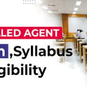 Enrolled agent coaching