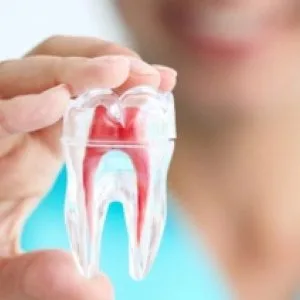 Endodontist / root canal treatment in gangapur road, nashik