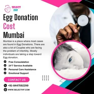 Egg donation cost mumbai