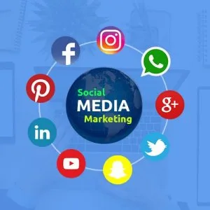 Seo-service-companycom | social media company in gujarat