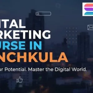 Join the best digital marketing course in panchkula – learn from