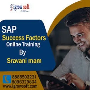 Sap success factors training and placement | igrowsoft