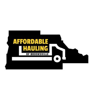Commercial dumpster rental for business waste solutions
