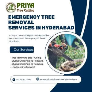 Emergency tree removal services in hyderabad