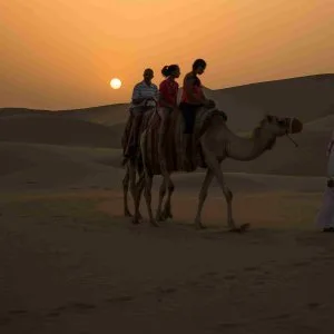 Evening desert safari dubai | fun, food & adventure