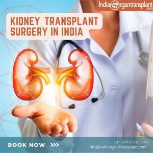 Best kidney transplant surgeon in india