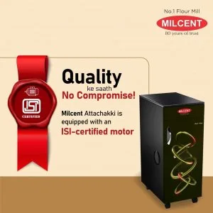 Automatic pithachi girni – efficient & affordable flour mill