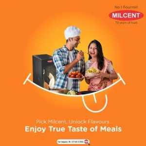 Fully automatic domestic flour mill for home – best price